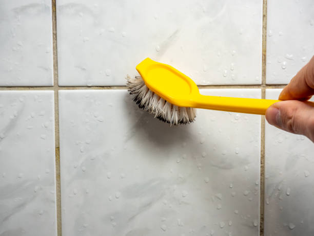 Best Mold Removal Near Me  in Barberton, WA