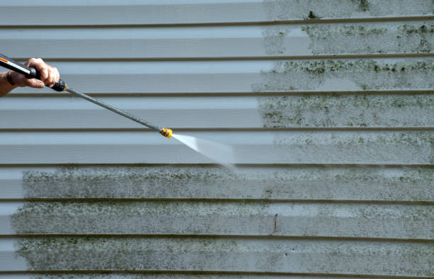 Office Mold Removal Services in Barberton, WA
