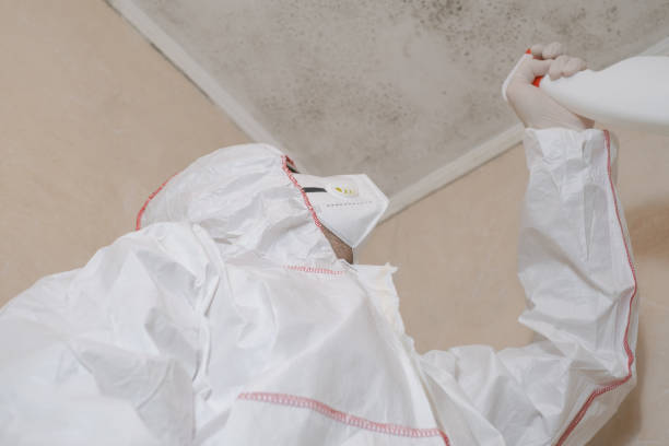Best Fast Mold Removal  in Barberton, WA