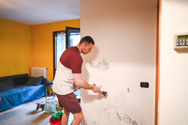 Best Best Mold Removal Companies  in Barberton, WA